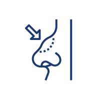 Icon1.3 2 Icon1.3 2